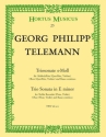 Triosonate e-Moll  fr Altblockflte (Flte, Violine), Oboe und Bc