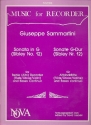 Sonata G major for treble recorder (flute, oboe, violin) and bc