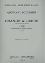 Grande allegro concerto in uno tempo e-moll  Kontrabass und Klavier