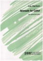 Serenade for guitar with optional percussion parts