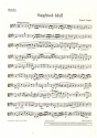 Siegfried-Idyll WWV103 fr Orchester Viola