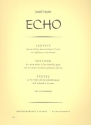 Das Echo Sextett für 4 Violinen und 2 Violoncelli Stimmen