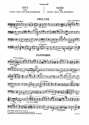 Suite op.19,1 for violin, viola and string orchestra violoncello