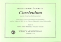Curriculum durch das EG Bd 2 fr Orgel Passion, Ostern, Himmelfahrt
