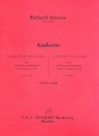 Andante fr Violoncello (Viola) und Klavier