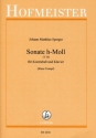 Sonate h-Moll (T 36) fr Kontrabass und Klavier