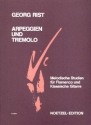 Arpeggien und Tremolo Melodische Studien fr Flamenco und klassische Gitarre