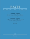 14 Kanons BWV1087 fr 2 Violinen und Cembalo partitur