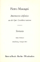 Serenata - Intermezzo sinfonico aus 'Cavalleria rusticana' für Salonorchester