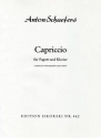 Capriccio fr Fagott und Klavier