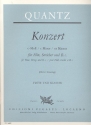 Konzert c-Moll fr Flte, Streicher und Bc fr Flte und Klavier