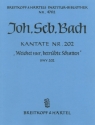 Weichet nur betrübte Schatten Kantate Nr.202 BWV202 Partitur