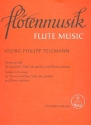 Sonate g-Moll fr Flte, Viola (da gamba) und Bc