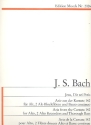 Jesu Dir sei Preis Arie aus BWV142 fr Alt, Altblockflte und Bc