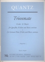 Triosonate G-Dur fr Flte, Violine und Bc