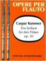 Trio brillant D-Dur op.30 fr 3 Flten Stimmen