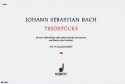 Triostcke fr 2 Alt-Blockflten (oder andere Melodie-Instrumente) und Klavier (C