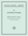 Triosonate c-Moll fr 2 Violinen und Bc