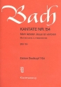 Mein liebster Jesus ist verloren Kantate Nr.154 BWV154 Klavierauszug (dt/fr)