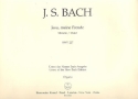 Jesu meine Freude BWV227 Motette fr gem Chor (SSATB) Orgel