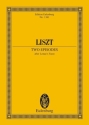 2 Episodes from Lenau's Faust for orchestra study score