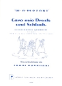 Caro mio Schluck und Druck KV571a scherzhaftes Quartett fr SATB, Soli und Klavier Klavierpartitur