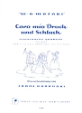 Caro mio Schluck und Druck KV571a scherzhaftes Quartett fr SATB, Soli und Klavier Klavierpartitur