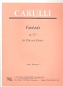Fantasie op.337 fr Flte und Gitarre