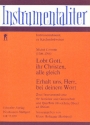 2 Instrumentalsaetze  fr Streicher und Generalba und Querflte (Blockflte, Oboe) ad lib. Partitur
