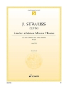 An der schnen blauen Donau op. 314 fr Violine und Klavier
