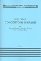 Concerto G major for soprano or descant recorder, strings and 2 horns ad lib parts