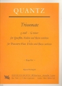 Triosonate g-Moll fr Flte, Violine und Bc