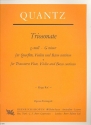 Triosonate g-Moll  fr Flte, Violine und Bc