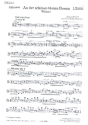An der schnen blauen Donau Walzer fr Akkordeonorchester Handharmonika 1/2