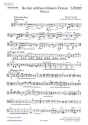 An der schnen blauen Donau Walzer fr Akkordeonorchester Handharmonika 3/4