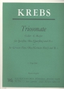 Triosonate G-Dur  fr Flte, Oboe und Bc