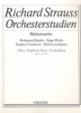 Orchesterstudien aus seinen Bhnenwerken Band 1 fr Oboe
