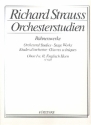 Orchesterstudien aus seinen Bhnenwerken Band 3 fr Oboe
