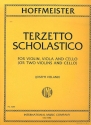 Terzetto scholastico for 2 violins and violoncello 4 parts