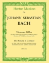 Triosonate G-Dur BWV1038 fr Flte, Violine und Bc