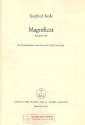 Magnificat peregrini toni fr Einzelstimme, konzertierende Orgel und Chor,  Partitur (la),    Verlagskopie