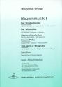 HOLZSCHUH ERFOLGE 13 KLAV/AKK. BAUERNMUSIK 1   STIMMEN