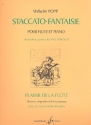 Staccato fantaisie pour flute et piano