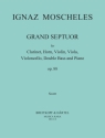 Grand septuor op.88 for clarinet, horn, string trio, double bass and piano Partitur und Stimmen