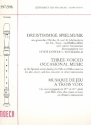 Dreistimmige Spielmusik am spanischen Hof des 15. und 16. Jahrhunderts für 3  Blockflöten (ATB),  Partitur