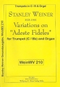 Variations on 