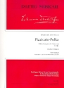 Pizzicato-Polka o.op. fr Orchester Stimmenset (Harmonie und 4-3-2-2-1)