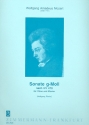 Sonate g-Moll nach KV478 für Oboe und Klavier