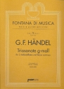 Triosonate g-Moll fr 2 Altblockflten und Bc