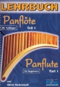 Panflöte (Paket enthält Lehrbuch+ Spielstücke+CD+DVD)  Set